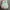 Cosplay Wanita green blue photo 4