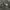 THE NORTH FACE JACKET OUTDOOR GORPCORE BLACK  photo 4