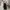 LVC DENIM SUPER BAGGY JEANS BLACK STONED photo 5
