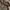 DICKIES JACKET OUTDOOR GORPCORE BLACK  photo 6