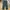 Chino Loose Pants Unknown Brand green army  photo 2