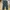 Chino Loose Pants Unknown Brand Green Army 