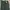 Chino Loose Pants Unknown Brand green army  photo 3