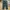 Chino Loose Pants Unknown Brand green army  photo 1