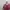 Kemeja blouse wanita merah photo 3