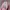 TOPTEN PINK KNIT SWEATER photo 6