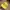 Pikachu Hat Embroidered - Original Pokemon Cap photo 1