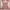 Lolita Coquette Cami top Wanita multicolor burgundy photo 3