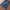 Baggy Jorts Ripcurl Skateboarding  photo 2