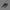 Sepatu Lari Nike Epic React Flyknit Olive Original Running photo 2