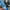 Sepatu Lari Nike Epic React Flyknit Olive Original Running photo 7