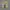 Sepatu Lari Nike Epic React Flyknit Olive Original Running photo 6