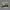 Sepatu Lari Nike Epic React Flyknit Olive Original Running photo 1