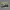 Sepatu Lari Nike Epic React Flyknit Olive Original Running