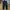 Chef Pants Striped GU by Uniqlo darknavy photo 1