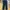 Center Press Straigt Pants GU by Uniqlo dark green  photo 2