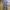 Chino Pants Slim Stretch GU by Uniqlo gray  photo 1