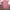 Kemeja Pink Lengan Pendek photo 3