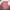Kemeja Pink Lengan Pendek photo 2