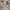 Hidden photo 1