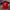 Jersey Berkerah Mizuno Warna Merah Size M