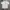 TNF white sport jersey rear big logo photo 1