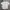 TNF White Sport Jersey Rear Big Logo