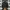Tracktop adidas superstar kids photo 1