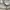 mark gonzales short photo 7