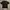 LMC black tee rear big logo photo 2