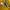 Tommy Hilfiger Streetwear Casual Sweatshirt Pria yellow photo 3
