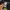 Off White realtree big logo photo 6