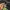 Off White realtree big logo photo 5