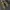 Dr Martens Crazy Horse 1561 (MIC) photo 1