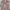[Brand New] Pomelo - floral romper jumpsuit v-neck dress photo 2