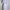 Long dress Lilac photo 2