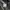 Red wing shoe vintage fatigues denim jacket photo 5
