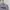 Crewneck FILA bordir grey  photo 2