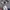 Crewneck FILA bordir grey  photo 4