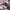 Nike Jordan Travis x Bape Sta photo 1