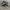 NB 520 photo 1