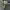 Carhartt Mos Green Active Jacket USA Vintage Y2K Not Detroit photo 3
