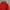 Blackyak Goretex Gorpcore Winter Goose Down Jacket photo 2