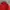 Blackyak Goretex Gorpcore Winter Goose Down Jacket