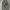 Gore-tex Waterproof Realtree  photo 2