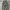 Gore-tex Waterproof Realtree  photo 1