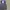 Formal vest inner suit photo 2