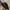Minimalist Casual Heels Wanita black photo 3