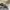 longchamp tote size  photo 4