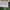 longchamp tote size  photo 7